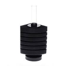 Betta fish are easy to care for, but they have some special requirements due to their behaviors. Betta Aquarium Fish Tank Air Driven Mini Biochemical Sponge Water Filter Filters Pet Supplies