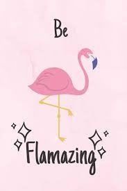 Flamingo photo flamingo art flamingo pictures funny profile pictures funny instagram memes flamingo. Be Flamazing Flamingo Journal Funny Flamingo Quotes Cute Bird Planner Journals Wild Amazon De Bucher