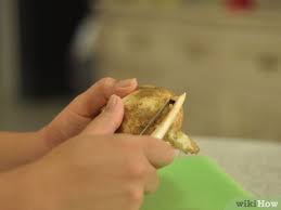 We did not find results for: 3 Ways To Peel Jicama Wikihow