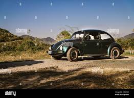 Image result for Reseda Green 1949 Beetle