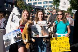 Hundreds rally in support of horse carriages outside Victoria City Hall