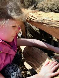 Patriots Day at Old Sturbridge Village