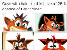 Crash Bandicoot Woah Crash Bandicoot Crash Bandicoot Characters Bandicoot