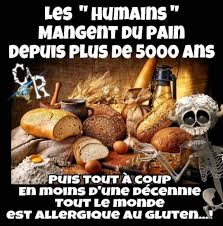 Pin By Bouchra Daggouz On Humour In 2020 Image Fun Humor Humour
