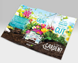 Specifically listed in section 5(d). Genuine Health Brochure Zee Berube Graphic Designer Illustrator