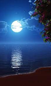 beautiful moon at the beach landscape wallpapers details beautiful moon beach landscape landscape wallpaper