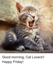 33 Good Morning Gifs For You