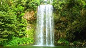 Forest Waterfall Wallpapers Hd 1080p For Desktop Desktop Background Live water wallpaper for iphone, android, mobile and desktop for walls. forest waterfall wallpapers hd 1080p