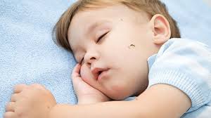 Sengatan lebah, tawon, pikat, dan gigitan semut api biasanya terasa. Bayi Digigit Serangga Tenang Ini 5 Cara Alami Mengobati Dan Menghilangkan Bekasnya Tribunstyle Com