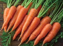 Happiness comes in many forms. Carrot Seeds Sweet Treat Carrot Plants Vegetable Seeds Burpee