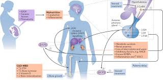 Clinical Practice Recommendations For Growth Hormone