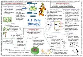 Gcse Biology Cells Biology Revision Gcse Biology Revision Gcse Maths Revision
