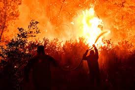 Jun 12, 2021 · φωτιά έχει ξεσπάσει σε δασική έκταση στην περιοχή παλαιοκαμάριζα στο λαύριο αττικής. Fwtia Twra Ston Kalamo Eretikos Gr