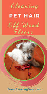 What Is The Best Way To Clean Dog Hair Off Hardwood Floors Cleaning Laminate Wood Floors Cleaning Wood Floors Hardwood Floors