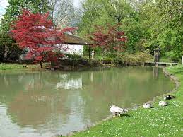 Surferwellen, biergärten, ein panoramablick über die altstadt und vieles mehr. Japanisches Teehaus Im Englischen Garten Mapio Net