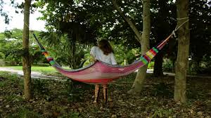 Its construction is highly practical, its. How To Hang A Hammock Between Two Trees Youtube