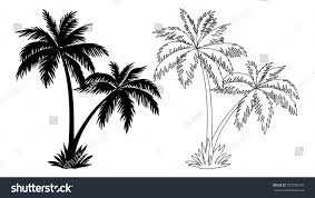 Black And White Outline Coconut Tree Clip Art Tropical Palm Trees Black Silhouettes And Outline Contours Isolated On White Background Vector Trees Art Drawing Palm Tree Drawing Palm Tree Art