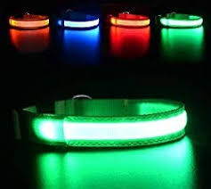 Glow Dark Dog Collars With Led Lights Thinkvail