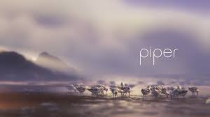 نتیجه جستجوی لغت [piper] در گوگل