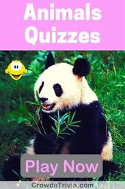 They have many things in common such as the ability to grow, feed, reproduce, and even get rid of waste. 57 Best Animals Trivia Quiz Games Questions And Answers Ideas In 2021 Trivia Quiz Trivia Of The Day Wtf Fun Facts