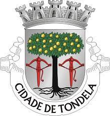 Offering rooms with spectacular views of the sierra caramulo, this hotel is located in tondela city, central portugal. Tondela City Brasao Coat Of Arms Crest Of Tondela City