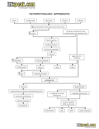 Appendicitis Pathophysiology Schematic Diagram Social