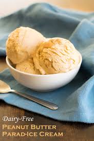 Over 2 cups for less than 100 calories and no fat!! Dairy Free Peanut Butter Ice Cream Recipe With Peanut Butter Chips