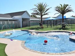 Best western hotels & resorts. Ft Myers Pet Boarding And Day Camp Pet Paradise
