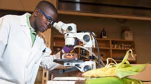 Food scientist job description template. Food Science Technology Graduate Studies Department Of Food Science Nutrition And Health Promotion Mississippi State University