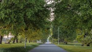 Southern pines, foxfire, lakeview, jackson springs, seven lakes, vass, west end, woodlake, pinehurst, mccain, whispering pines, aberdeen. Central Park Visit Plymouth