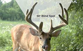 All mammals have a retina located in the back of the eye that consists of two types of light sensitive cells called rods and cones. Scientific Facts About How Deer See And Hear Texas Hunter Products