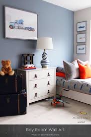 Shelf Display In 2020 Boy Room Paint Boys Room Decor Boy Room