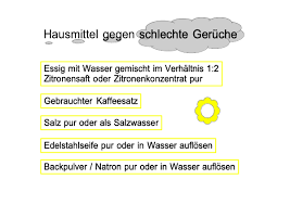 Schlechte gerüche in der wohnung. Hausmittel Gegen Schlechte Geruche Im Haus Philognosie