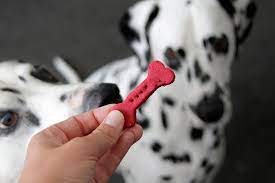 Food color dog treat decorating markers (10 colors). Using Natural Food Colouring For Homemade Dog Treats Dalmatian Diy