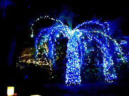 No Sense Letting A Garden Full Of Holiday Lights Go Dark Before The New Year Brookgreen Gardens Nights Of A Thousand Candle Holiday Lights Buy Tickets Lights