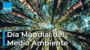 Un invento que cambió por eso, este día se celebra el día internacional de la fotografía. Dia Mundial Del Medio Ambiente Recuperar Nuestros Ecosistemas Para 2030 Fundacion Aquae