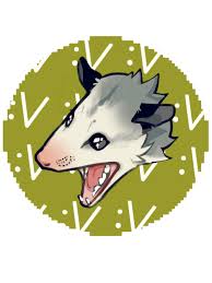 Pin On I Favorite Animal Opossum Press the ← and → keys to navigate the gallery, 'g' to view the gallery, or 'r' to view a … pin on i favorite animal opossum