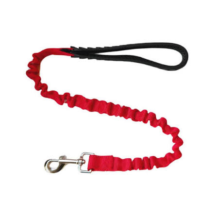 CORREA DE PASEO ELASTICA