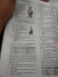 Dengan demikian, enzim dapat diartikan sebagai zat dalam ragi. Perhatikan Gambar Sistem Pencernaan Di Samping Nama Enzim Yang Dihasilkan Oleh Organ Yang Ditunjuk Brainly Co Id