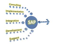 Sap Consulting Change Management Sap Solutions