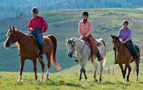 Maybe you would like to learn more about one of these? Horse Ranch Vacations In Wyoming Ampascachi