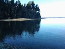 Low Tide Is The Best Time Review Of Tolmie State Park