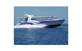 Wildlife control in nepean, on Fast Boat To The Great Barrier Reef Skedaddle Cairns Traveller Reviews Tripadvisor