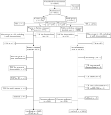 Comparison Of Nuchal And Detailed Morphology Ultrasound Examinations In Early Pregnancy For Fetal Structural Abnormality Screening A Randomized Controlled Trial Chen 2008 Ultrasound In Obstetrics Amp Gynecology Wiley Online Library