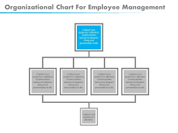 Download Organizational Chart For Employee Management Flat
