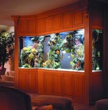 The fish tanks were taken as one of the best alternatives for interior in past decades , because he was a great touch to any space were like those essential decorative elements now in 2016 that can be. Spectacular Aquariums Personalizing Interior Design With Colorful Glass Fish Tanks