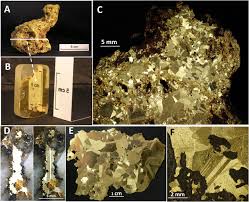 Some of the dumbest people on the internet who cannot form a coherent sentence. Gold Nuggets The Inside Story Sciencedirect