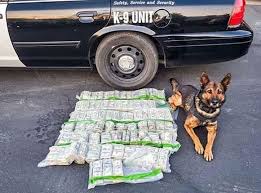 Pin On Law Enforcement War On Drugs