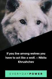 Badass quotes true quotes great quotes motivational quotes inspirational quotes qoutes faith quotes lone wolf quotes wolf pack quotes. 56 Wolf Quotes Sayings And Proverbs Celebrating Your Instinct 2021