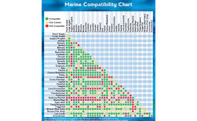 actual fish tank mates chart marine aquarium fish